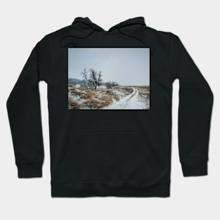 winter blizzard Hoodie